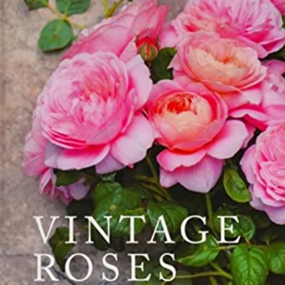 Meet your Posher, Callie - Picture 1 of 1